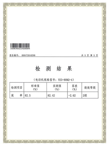 YE3-80M2-4報(bào)告-檢測(cè)結(jié)果