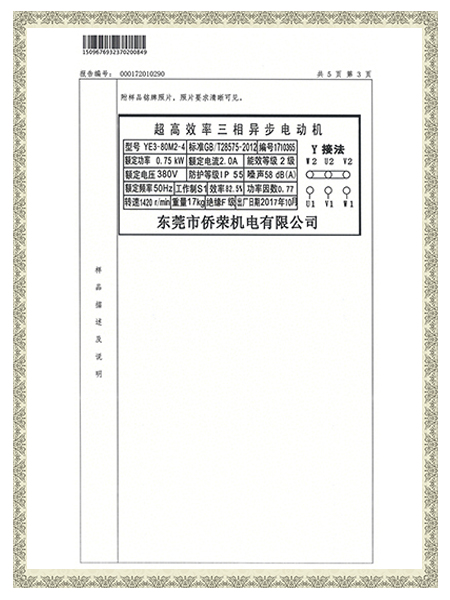 YE3-80M2-4報(bào)告-樣品概述